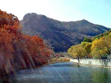 澳门期期准免费精准，除油器